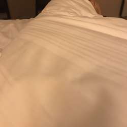 Bungle's Chat & Dating Profile